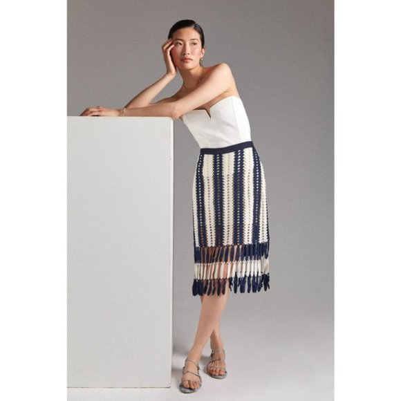 Anthropologie Navy and Cream Midi Skirt - Picture 1 of 5